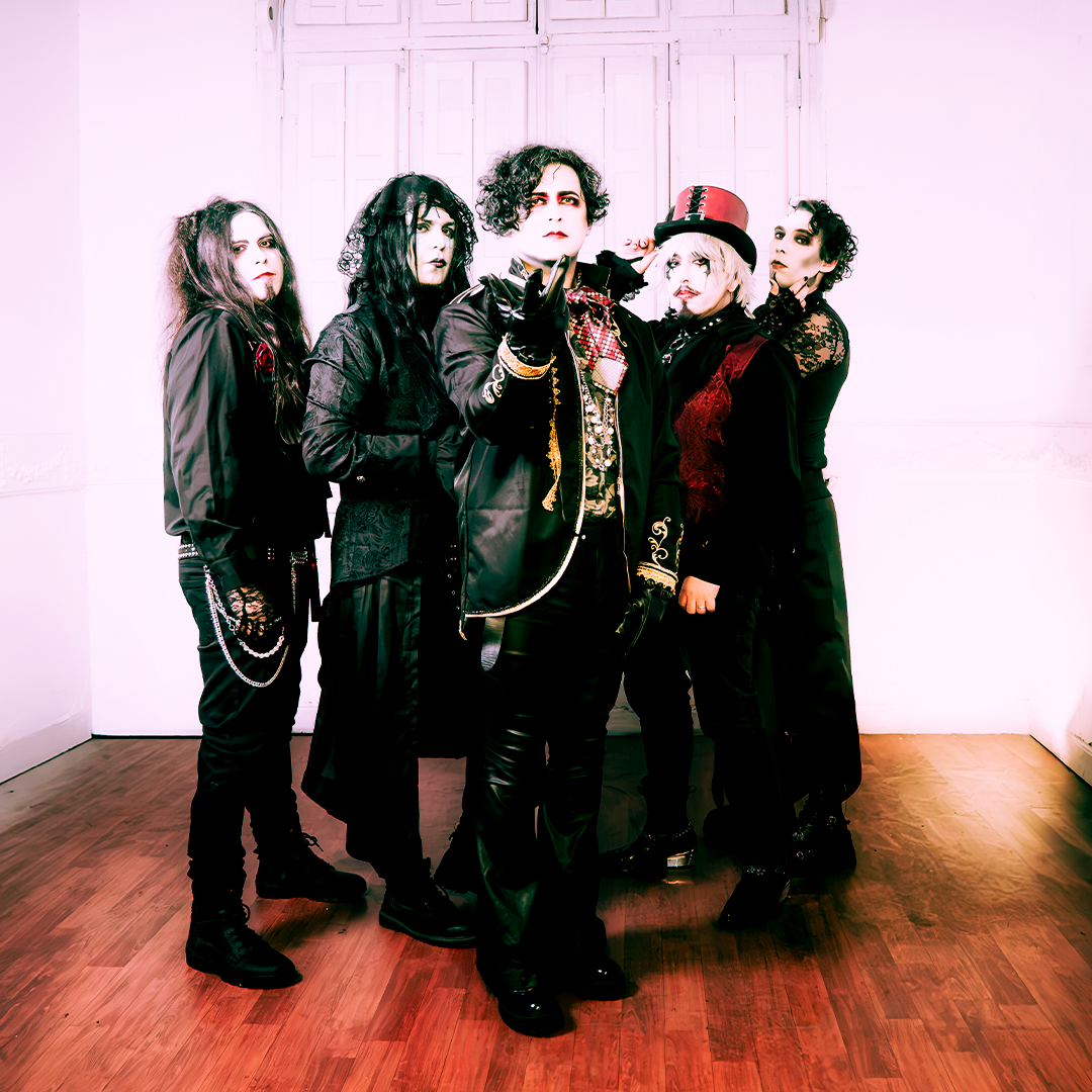MYZERO Banda